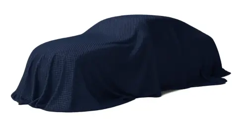 Model Placeholder